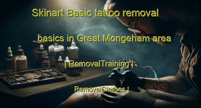 Skinart Basic tattoo removal basics in Great Mongeham area | RemovalTraining | RemovalClasses | SkinartTraining-United Kingdom